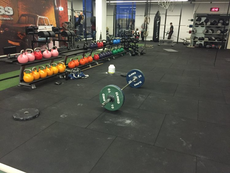 FitnessDK Sats reference 9