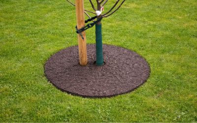 ErgoGarden Tree Rings