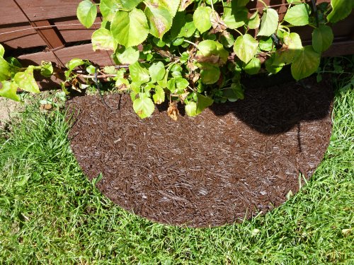 Rubber Mulch Tree Ring Rubber Washer At Fence Post P1010872.jpg?ts=1760016147
