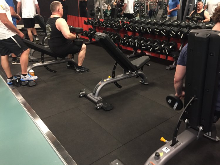 FitnessDK Sats reference 6