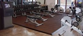 Fitness - Gym - Free Weight Training