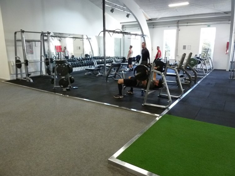 FitnessDK Sats reference 20