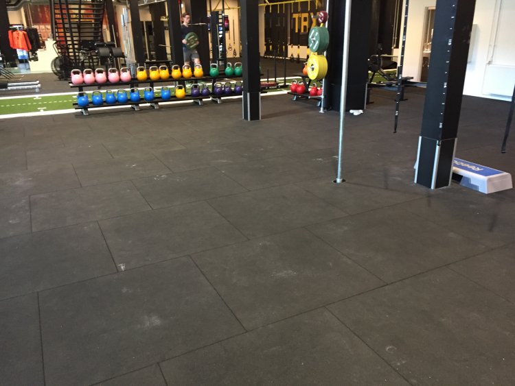 FitnessDK Sats reference 2