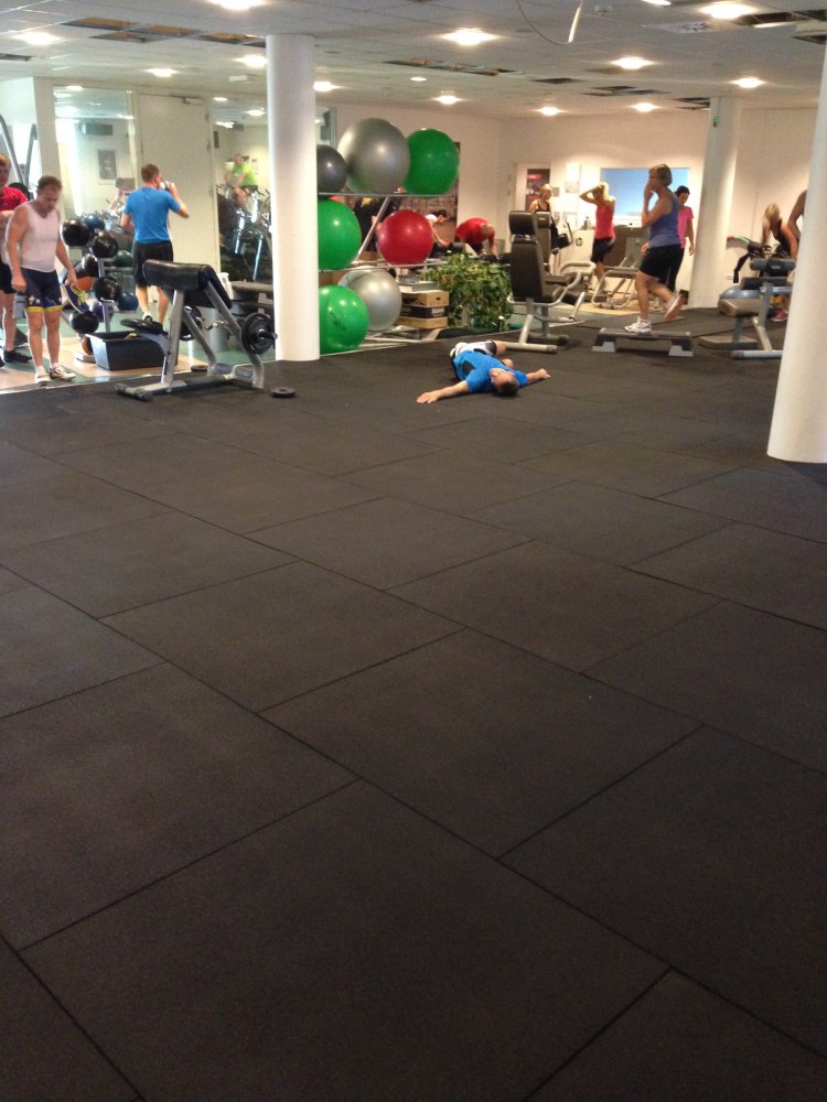FitnessDK Sats reference 25