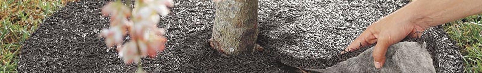 ErgoGarden Tree Rings