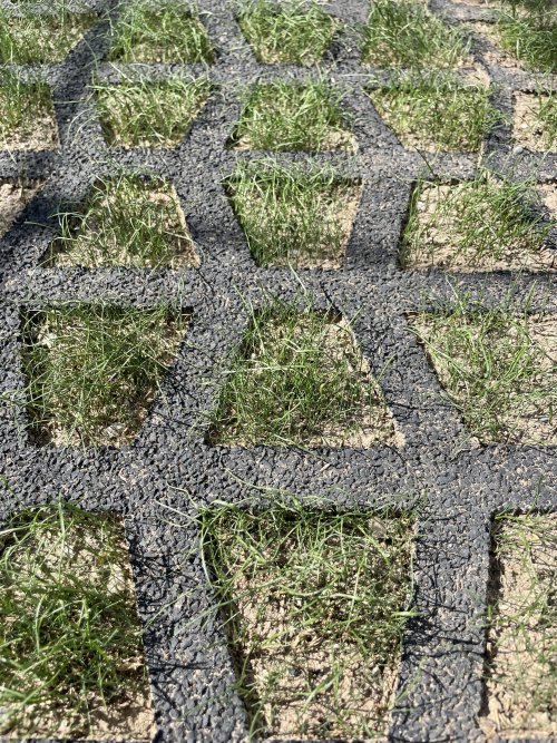 Playnsafe Rubber Playground Fall Grass Mats Installed With Grass Img 8427 (1).jpg?ts=1760016146