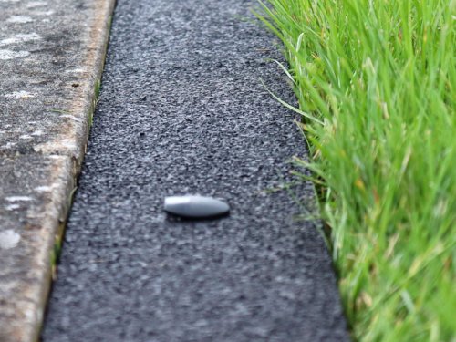 Ergogarden Rubber Grass Edge Earth Edge Installed Along A Garden Path.jpg?ts=1760016149