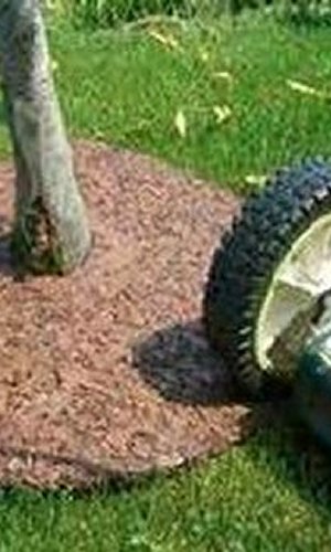 Rubber Tree Ring Protects Your Lawn Mower.jpg?ts=1760016146