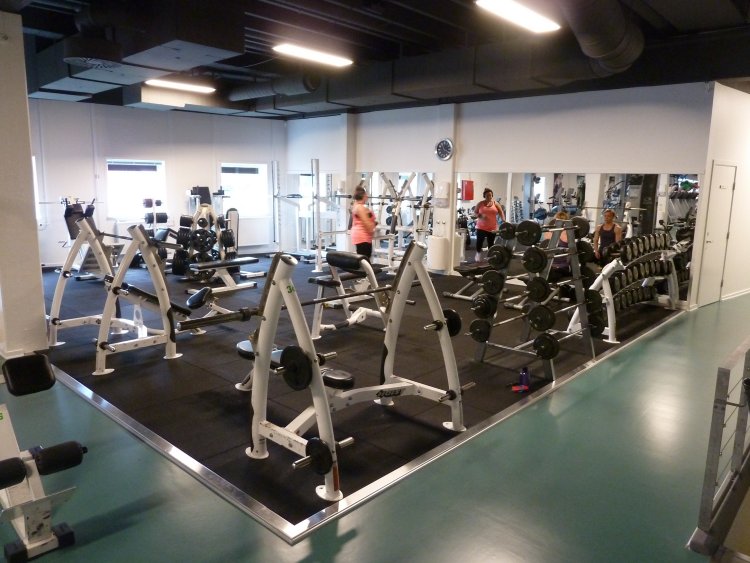 FitnessDK Sats reference 21