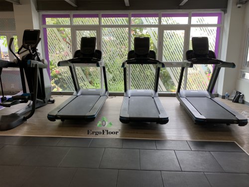 Anytime Fitness - Fitness rubber flooring